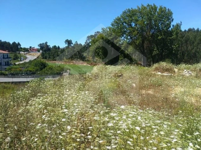 Terreno para Venda em Retorta e Tougues Foto 5