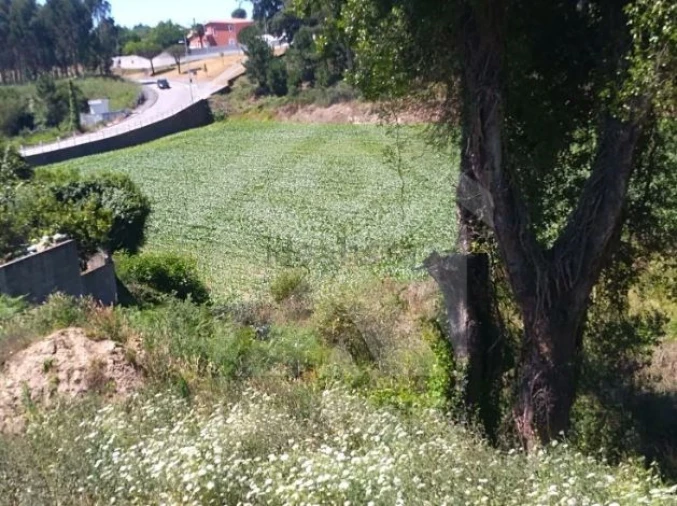 Terreno para Venda em Retorta e Tougues Foto 6