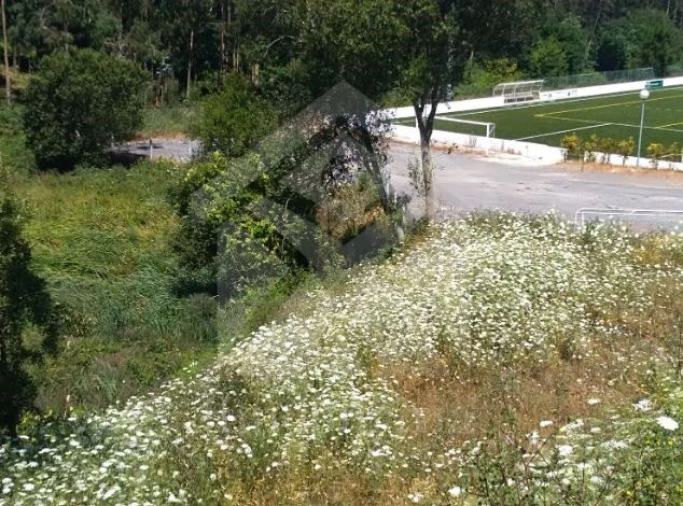 Terreno para Venda em Retorta e Tougues Foto 9