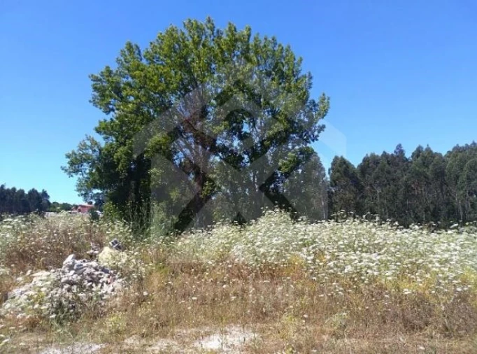 Terreno para Venda em Retorta e Tougues Foto 10