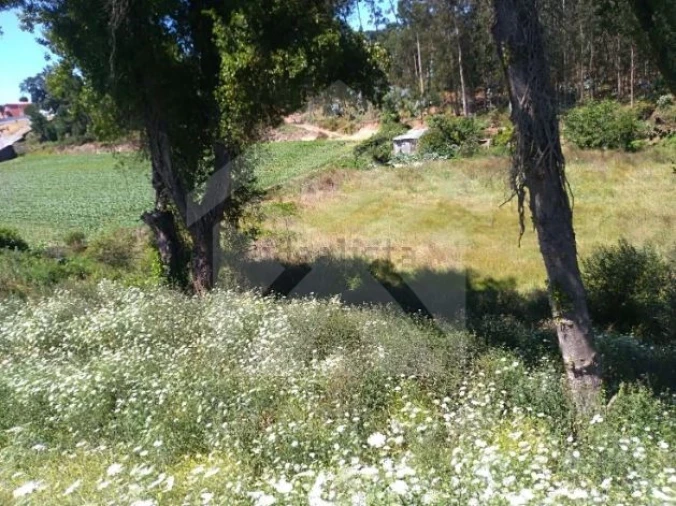 Terreno para Venda em Retorta e Tougues Foto 11