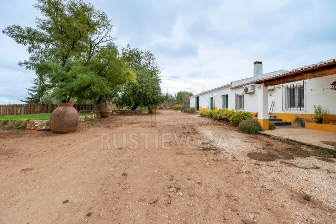 Quinta T3 para Venda em Borba (Matriz) Foto 27