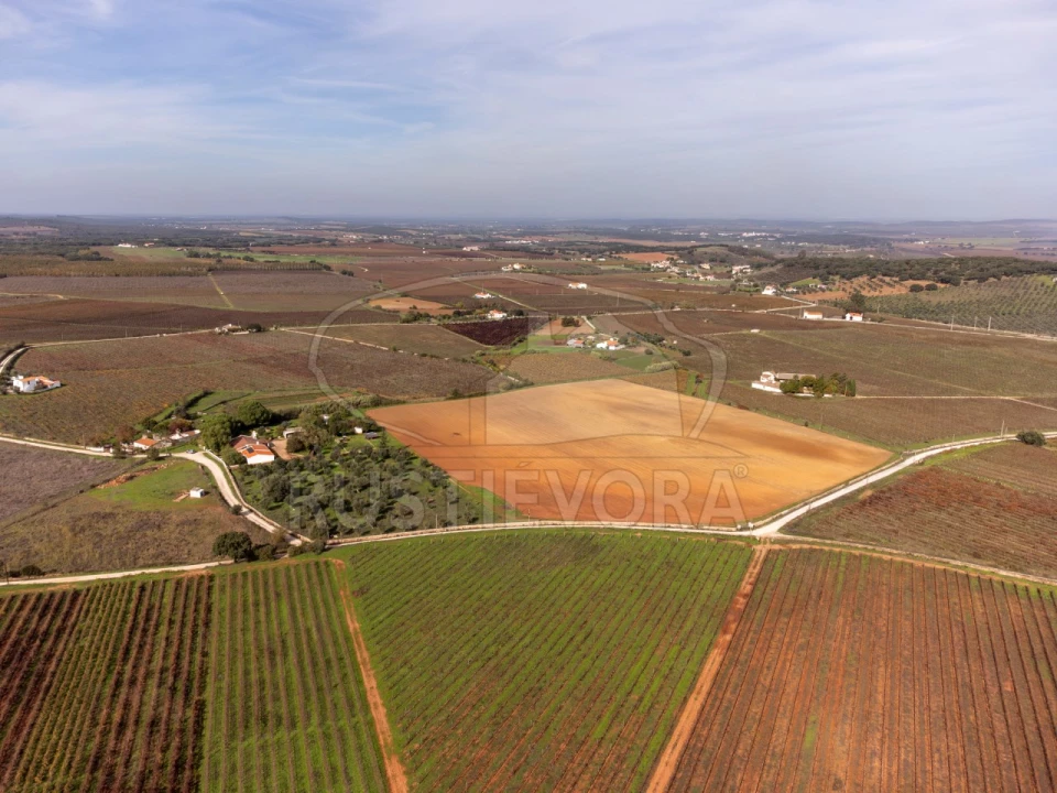 Quinta T3 para Venda em Borba (Matriz) Foto 19