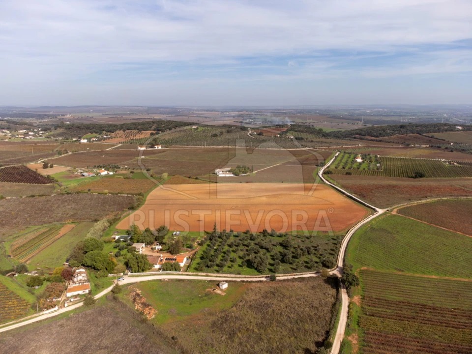 Quinta T3 para Venda em Borba (Matriz) Foto 47