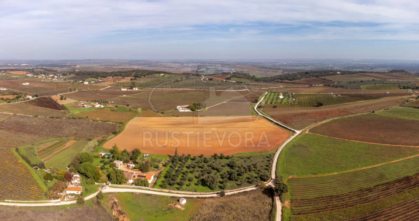 Quinta T3 para Venda em Borba (Matriz) Foto 48