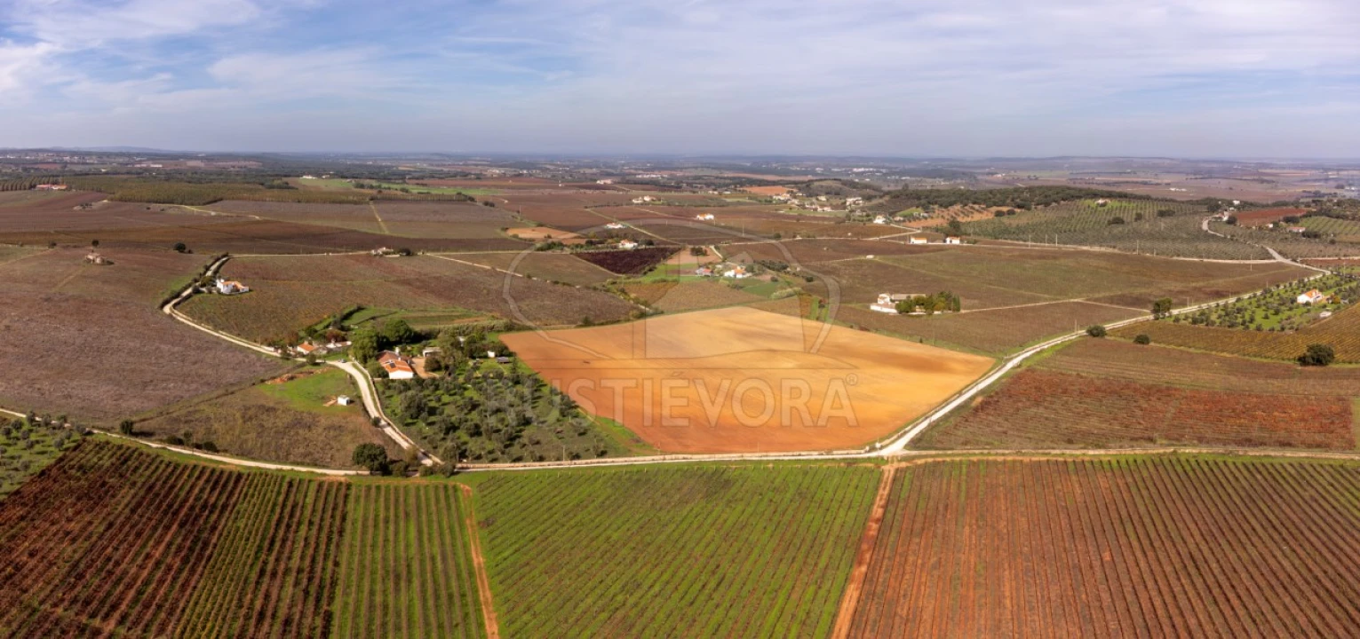 Quinta T3 para Venda em Borba (Matriz) Foto 50