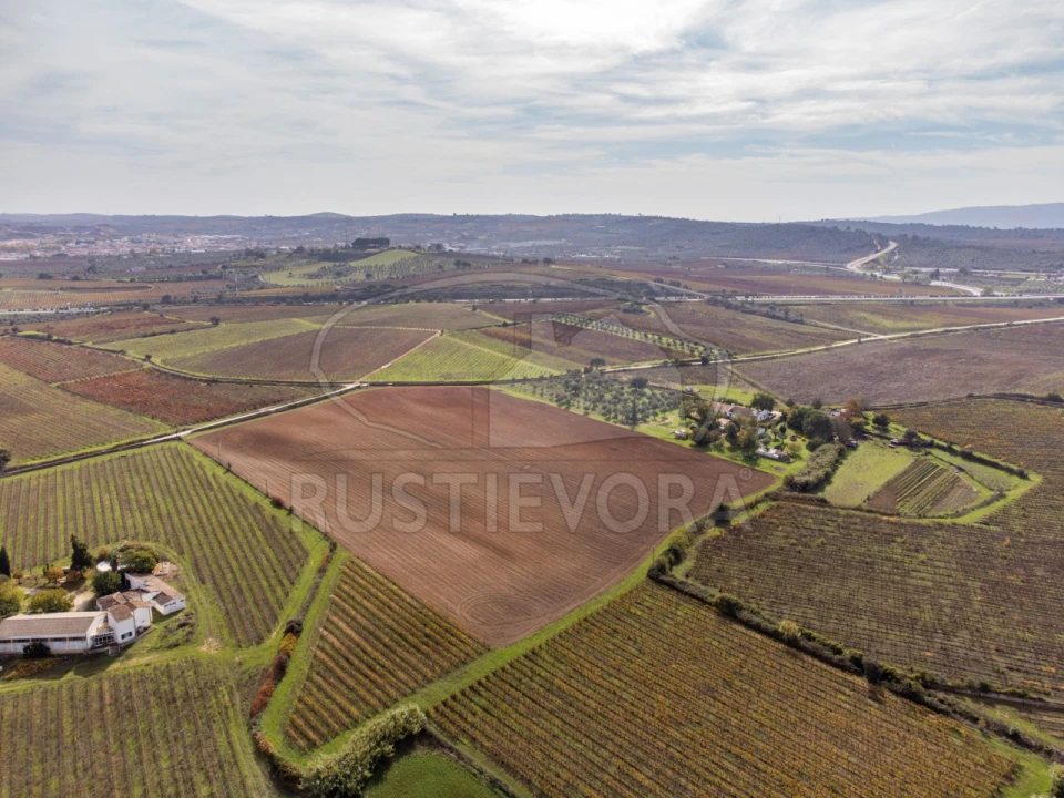 Quinta T3 para Venda em Borba (Matriz) Foto 36