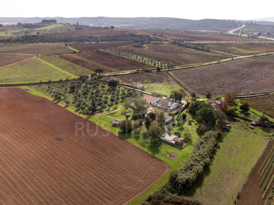 Quinta T3 para Venda em Borba (Matriz) Foto 46