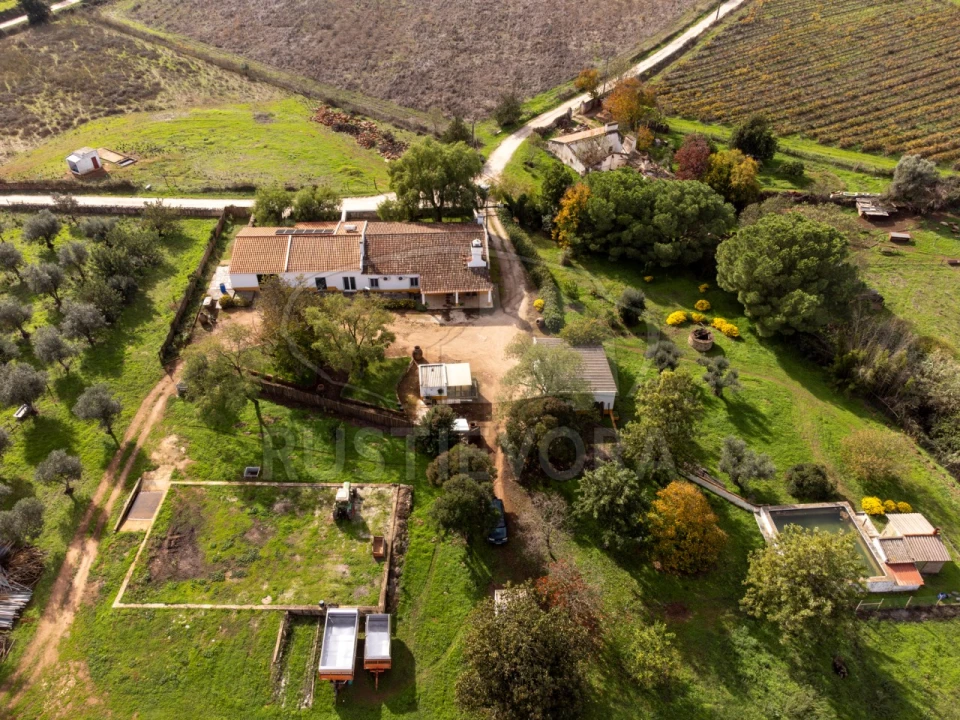 Quinta T3 para Venda em Borba (Matriz) Foto 53