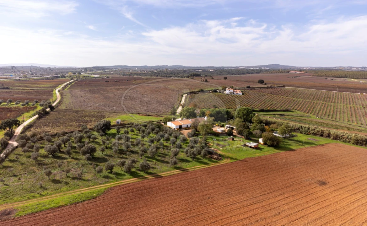 Quinta T3 para Venda em Borba (Matriz) Foto 56