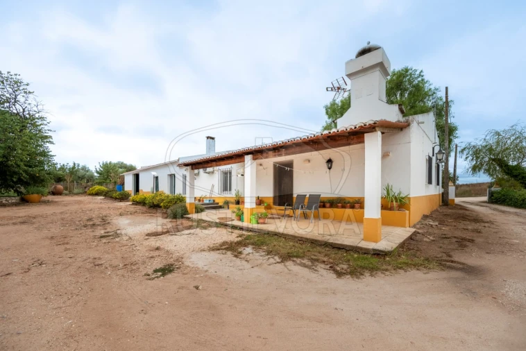 Quinta T3 para Venda em Borba (Matriz) Foto 8