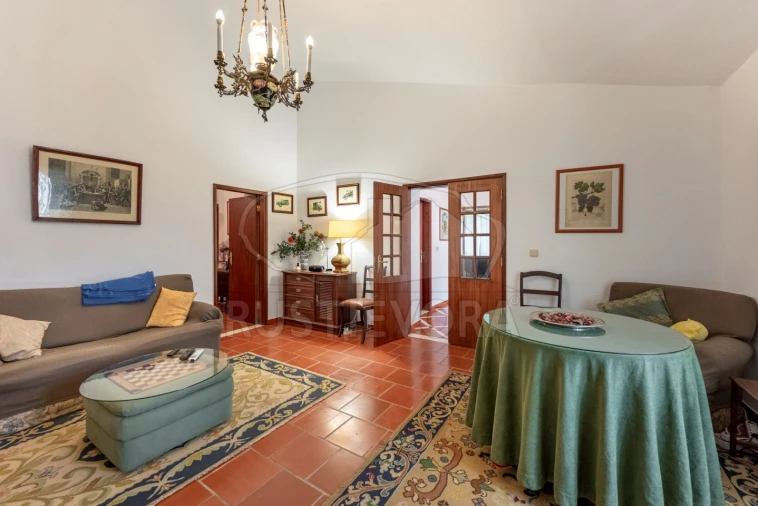 Quinta T3 para Venda em Borba (Matriz) Foto 6