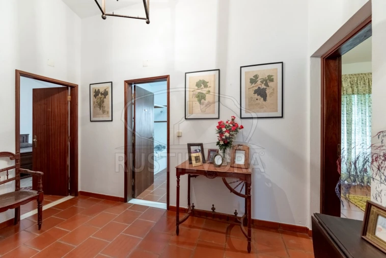 Quinta T3 para Venda em Borba (Matriz) Foto 7