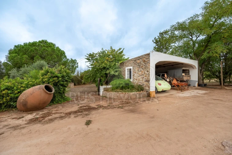 Quinta T3 para Venda em Borba (Matriz) Foto 25