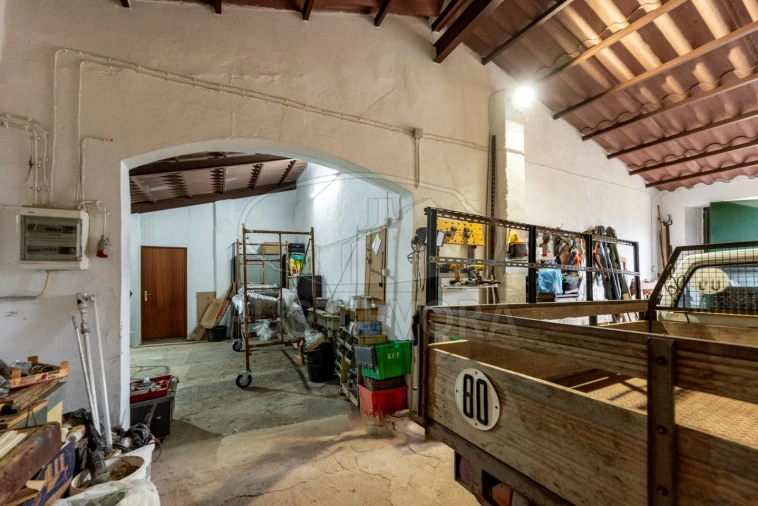 Quinta T3 para Venda em Borba (Matriz) Foto 40