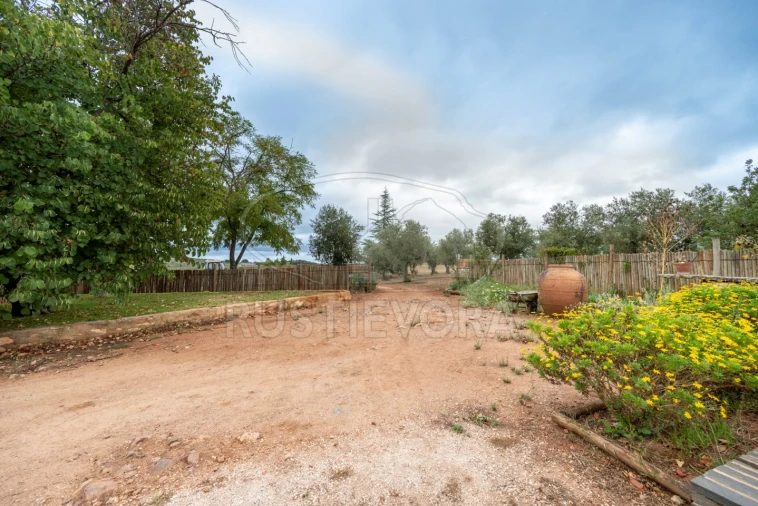 Quinta T3 para Venda em Borba (Matriz) Foto 45