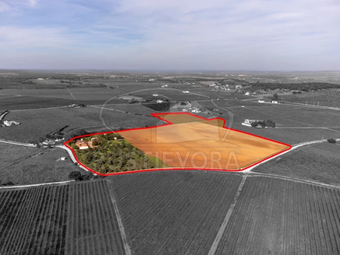 Quinta T3 para Venda em Borba (Matriz) Foto 3