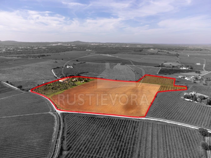 Quinta T3 para Venda em Borba (Matriz) Foto 34