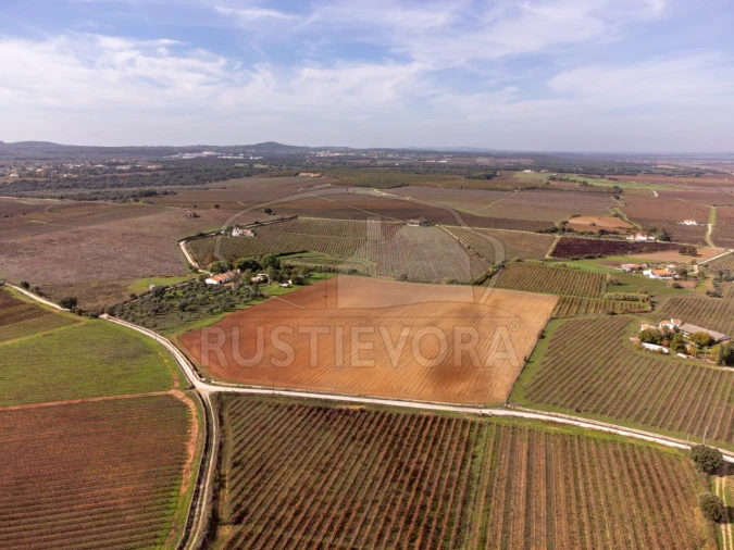 Quinta T3 para Venda em Borba (Matriz) Foto 35