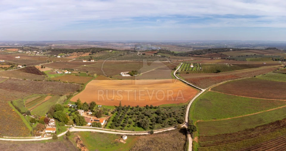 Quinta T3 para Venda em Borba (Matriz) Foto 48