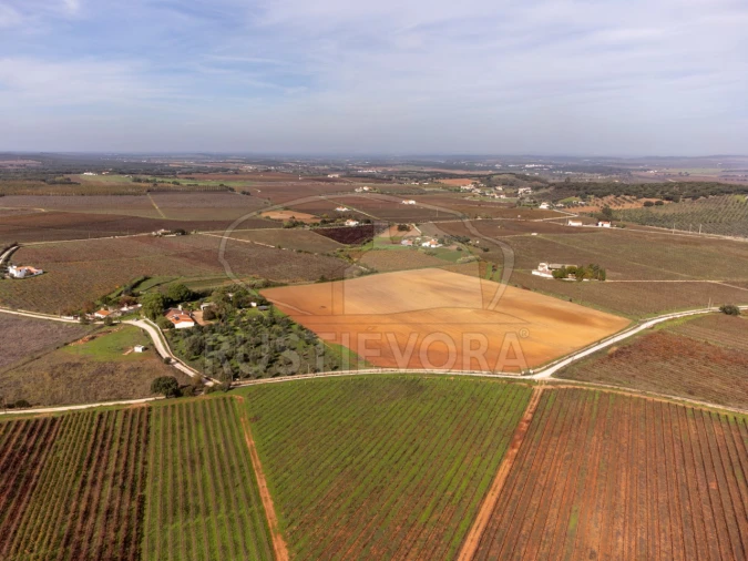 Quinta T3 para Venda em Borba (Matriz) Foto 49