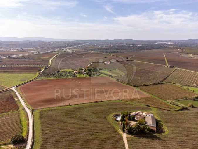 Quinta T3 para Venda em Borba (Matriz) Foto 52