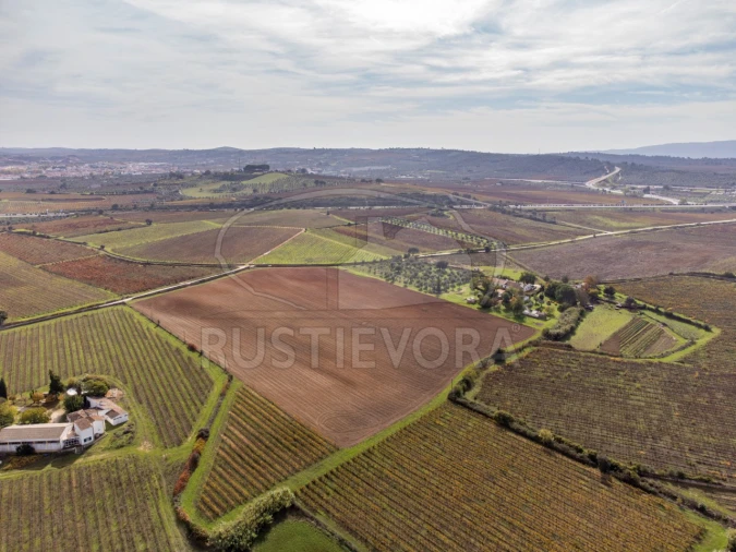 Quinta T3 para Venda em Borba (Matriz) Foto 36