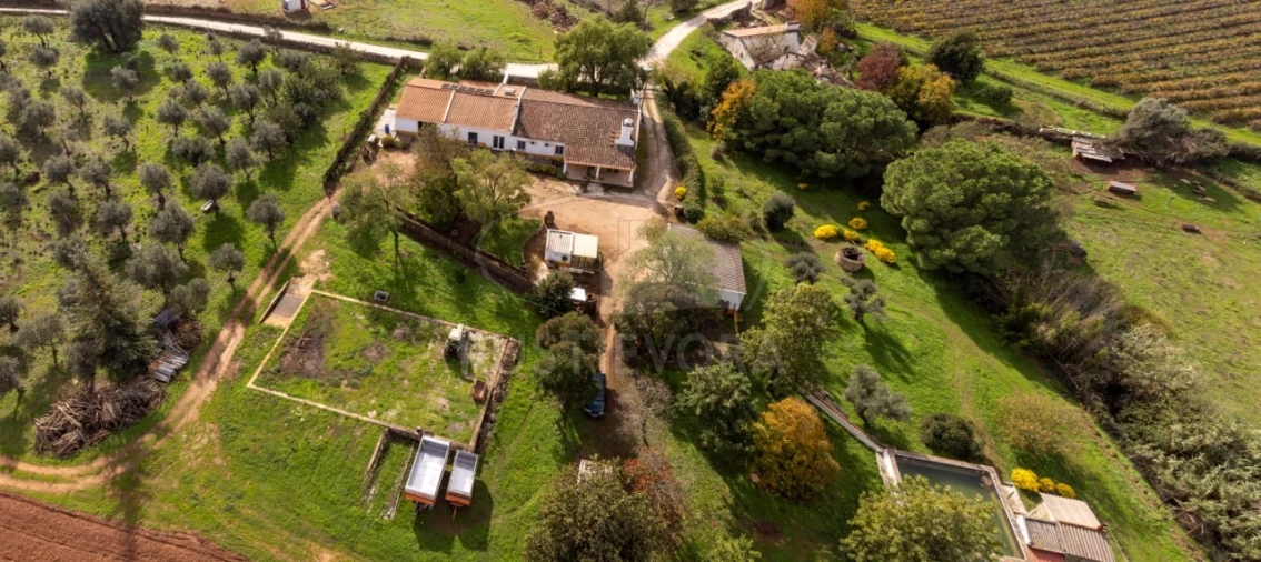 Quinta T3 para Venda em Borba (Matriz) Foto 54