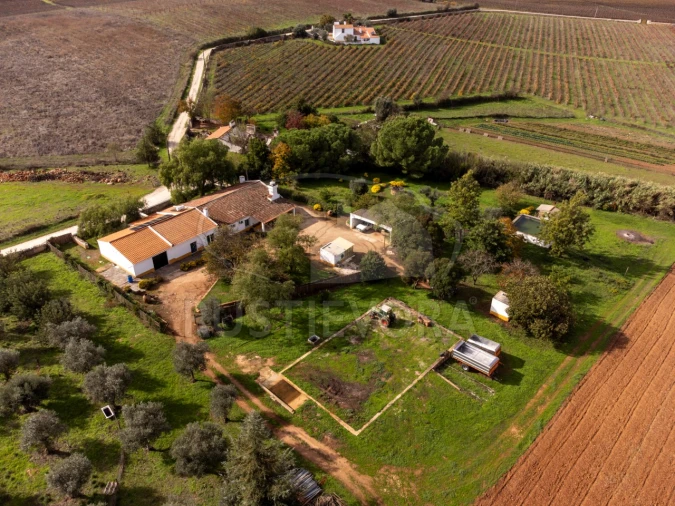Quinta T3 para Venda em Borba (Matriz)