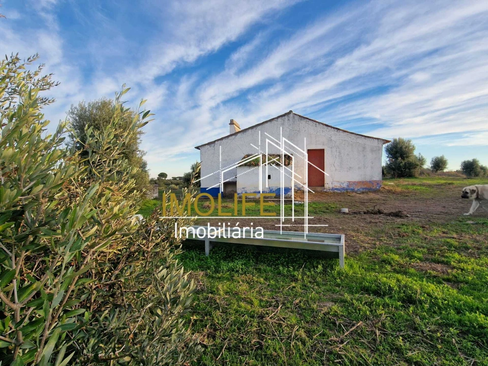 Quinta T4 para Venda em Pavia Foto 13