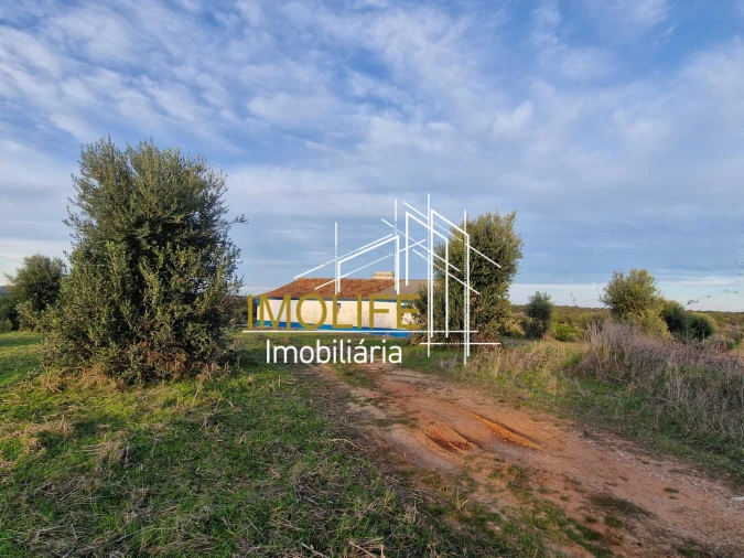 Quinta T4 para Venda em Pavia Foto 6