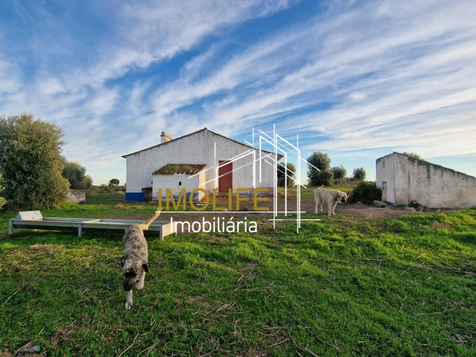 Quinta T4 para Venda em Pavia Foto 12