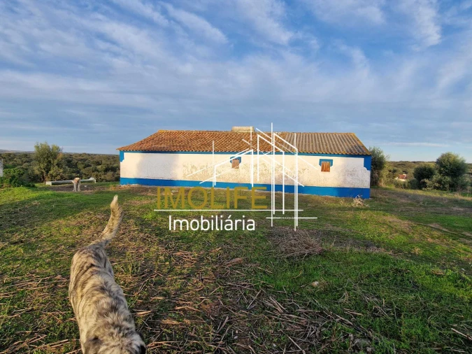 Quinta T4 para Venda em Pavia Foto 14