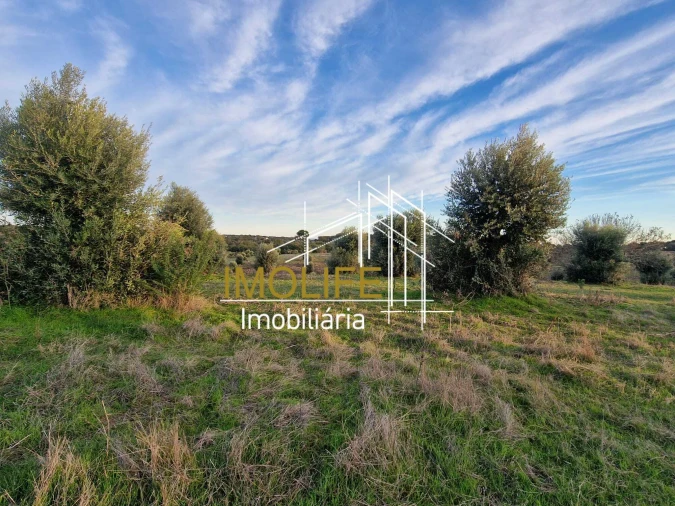 Quinta T4 para Venda em Pavia Foto 9