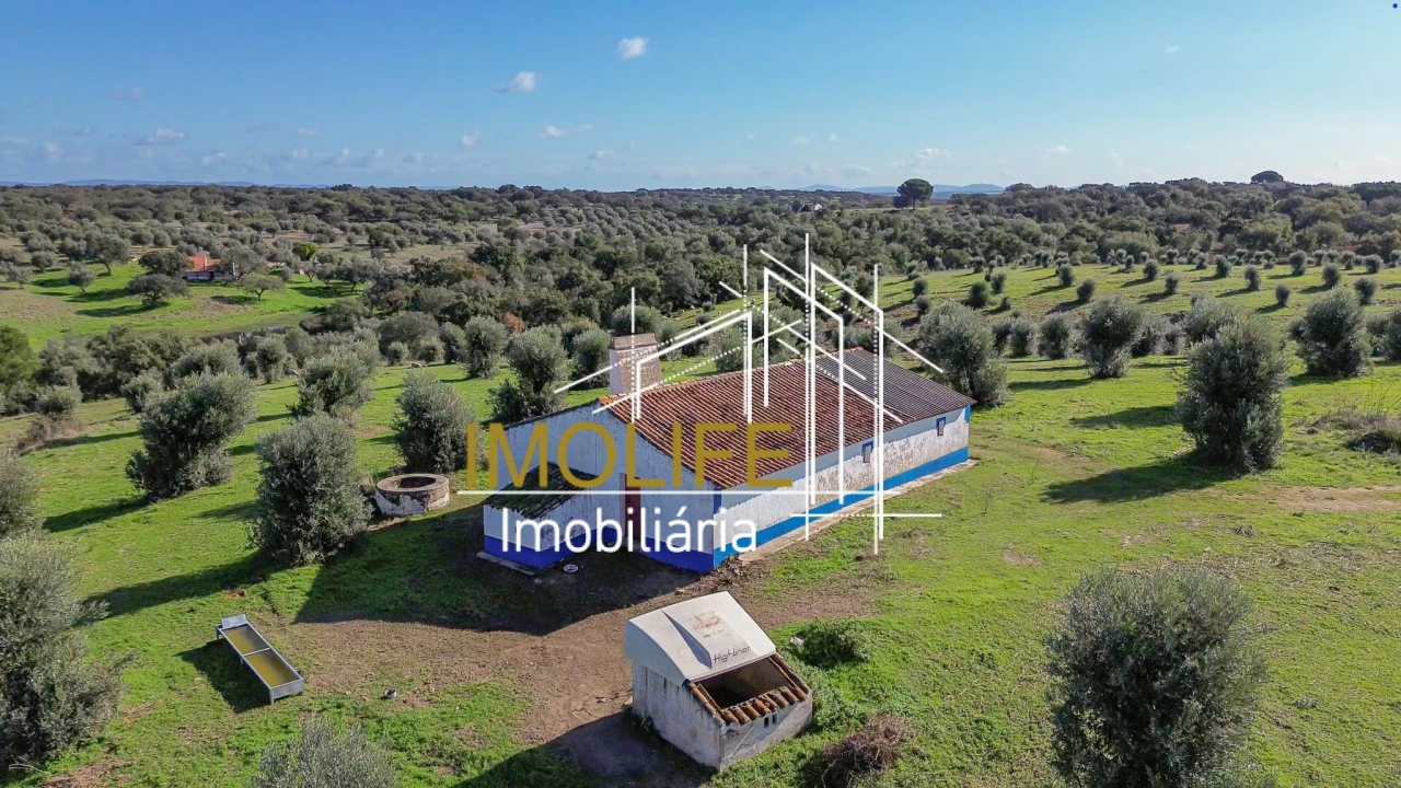 Quinta T4 para Venda em Pavia Foto 2