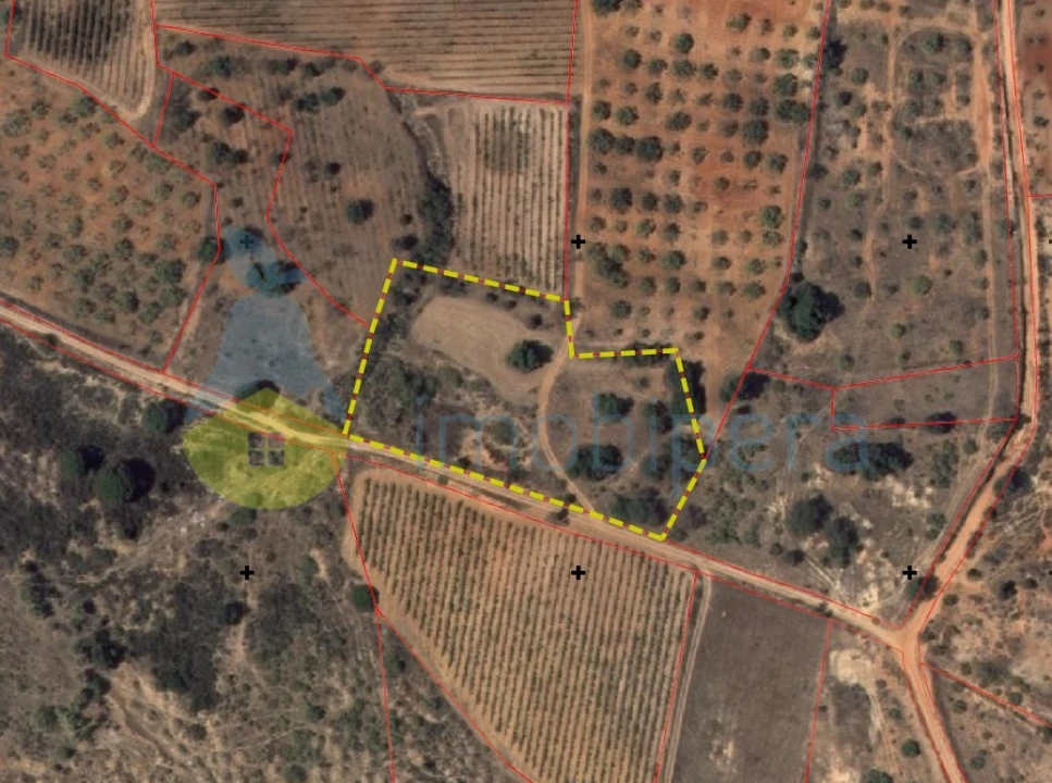 Terreno Agricola ou Rústico para Venda em Alcantarilha e Pêra Foto 1