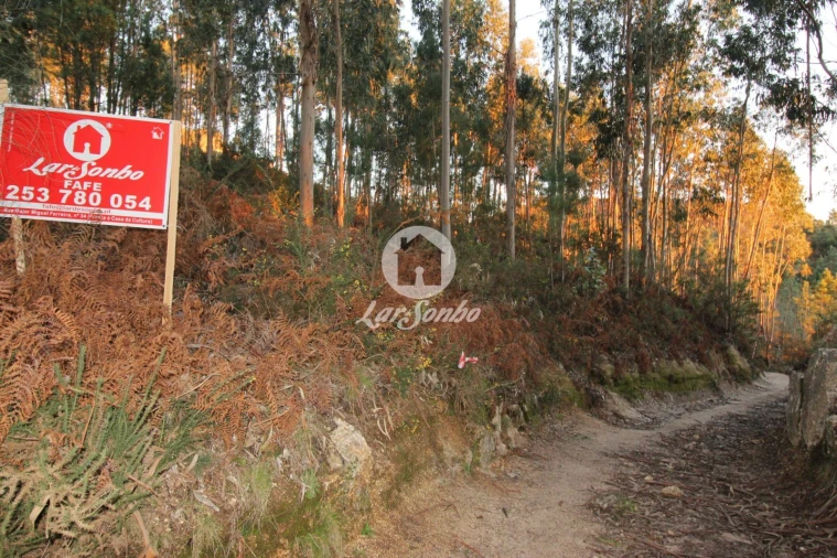 Terreno Agricola ou Rústico para Venda em Antime e Silvares (São Clemente) Foto 11