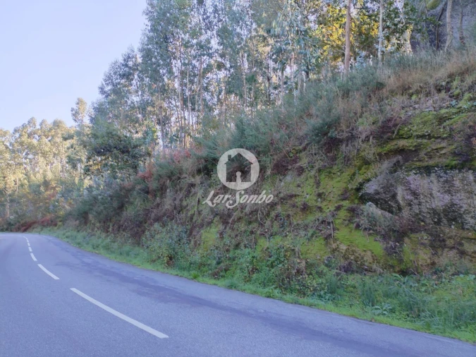 Terreno Agricola ou Rústico para Venda em Quinchães Foto 1