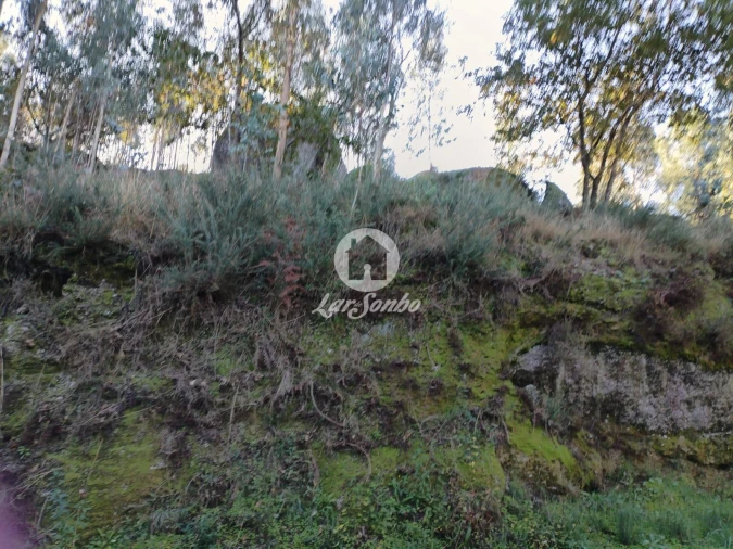 Terreno Agricola ou Rústico para Venda em Quinchães Foto 2
