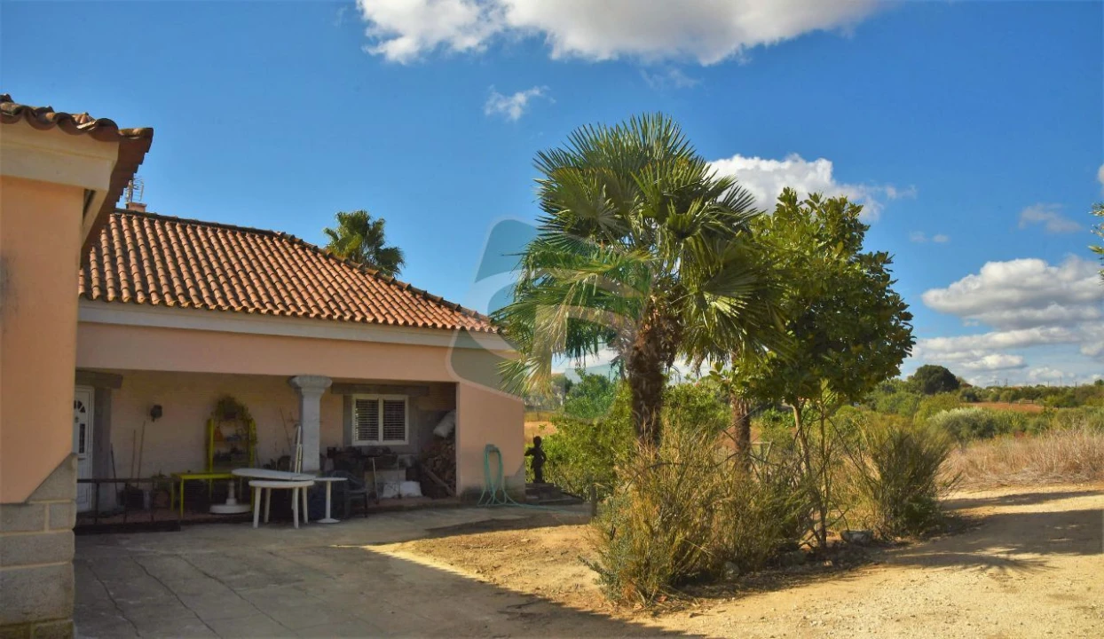 Quinta T4 para Venda em Cartaxo e Vale da Pinta Foto 29
