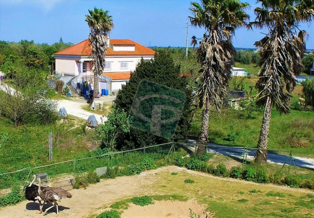 Quinta T4 para Venda em Cartaxo e Vale da Pinta Foto 31