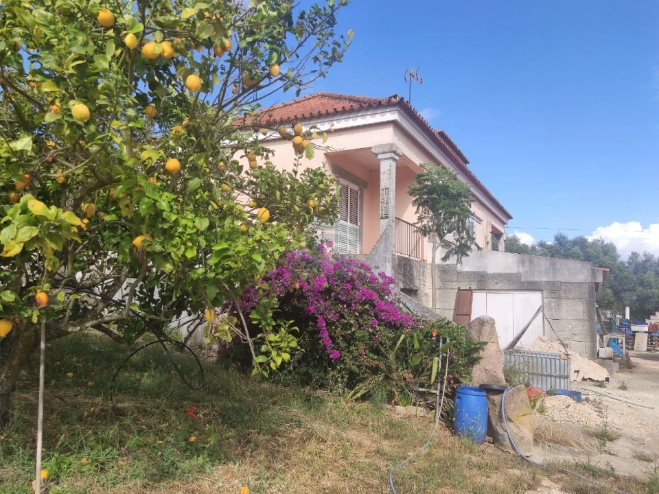 Quinta T4 para Venda em Cartaxo e Vale da Pinta Foto 32