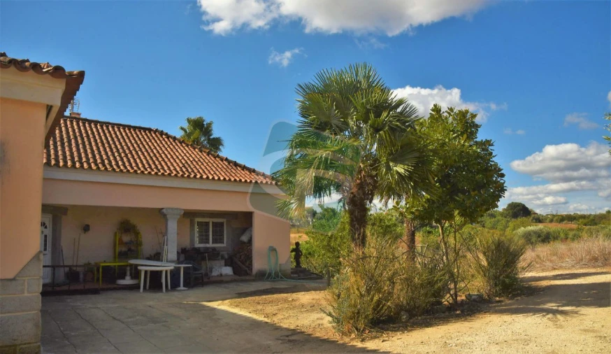 Quinta T4 para Venda em Cartaxo e Vale da Pinta Foto 29