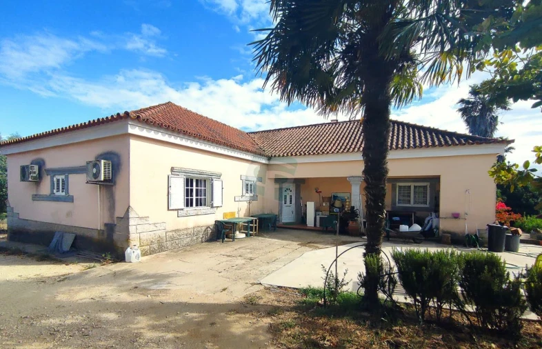 Quinta T4 para Venda em Cartaxo e Vale da Pinta Foto 37