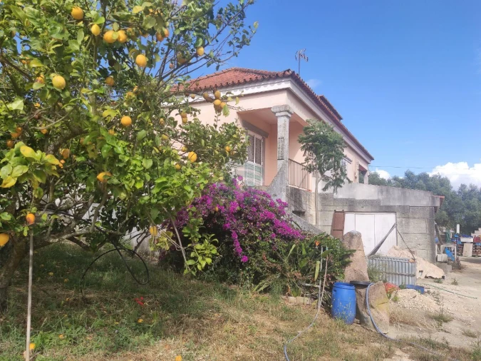 Quinta T4 para Venda em Cartaxo e Vale da Pinta Foto 32