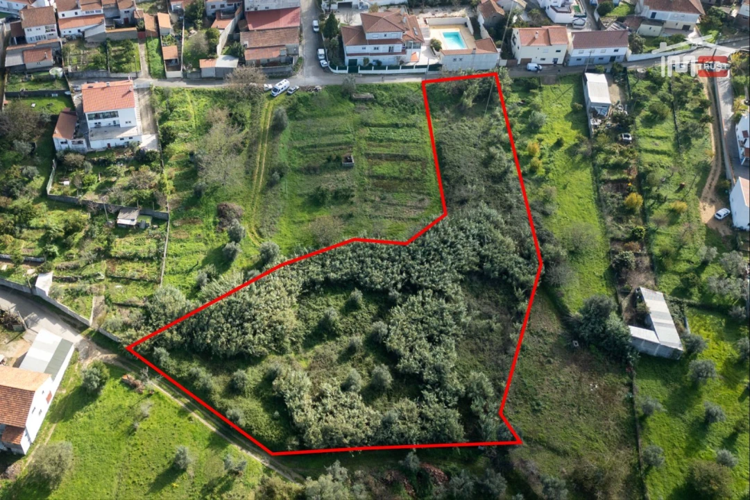 Terreno para Venda em Alburitel Foto 1