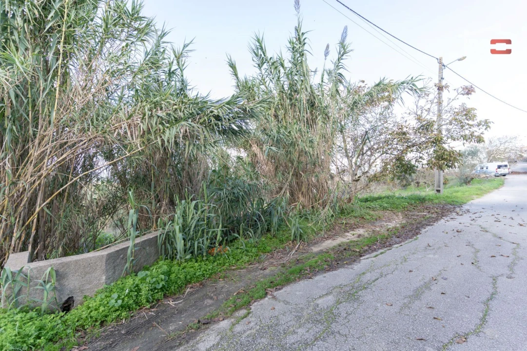 Terreno para Venda em Alburitel Foto 6