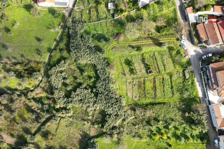 Terreno para Venda em Alburitel Foto 3