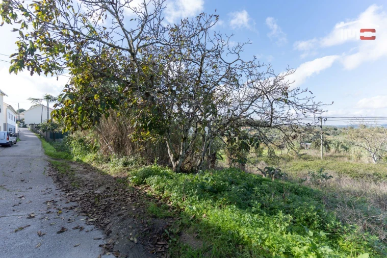 Terreno para Venda em Alburitel Foto 7