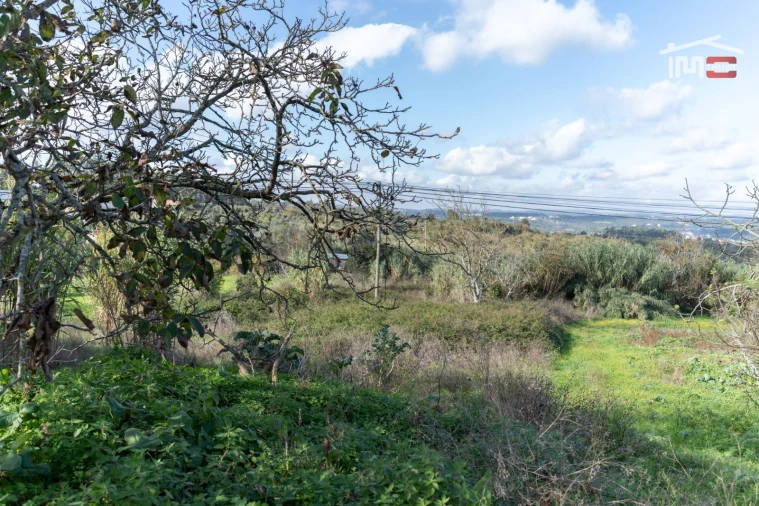Terreno para Venda em Alburitel Foto 8